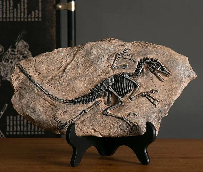 Estátua em Resina Fóssil Dinossauro