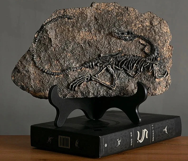 Estátua em Resina Fóssil Dinossauro